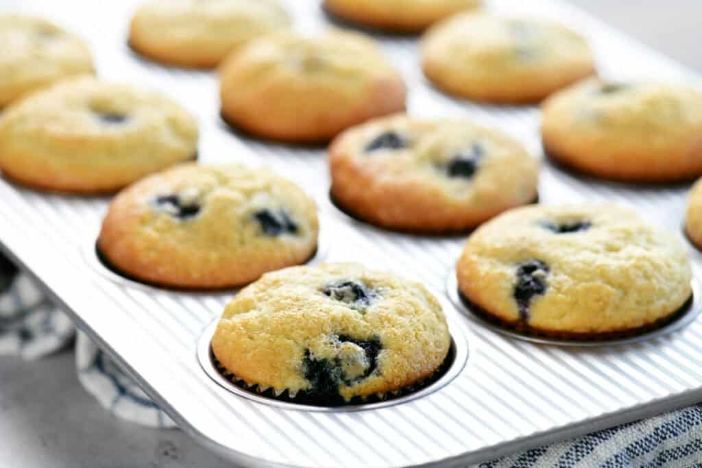 blueberry muffins cooling in a muffin pan
