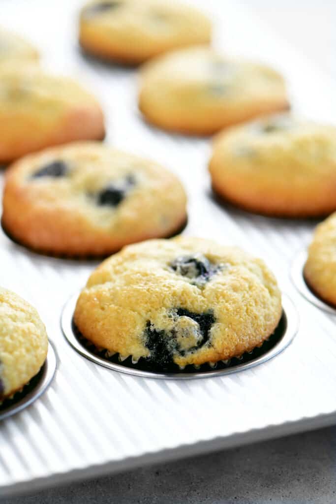 muffins in a pan