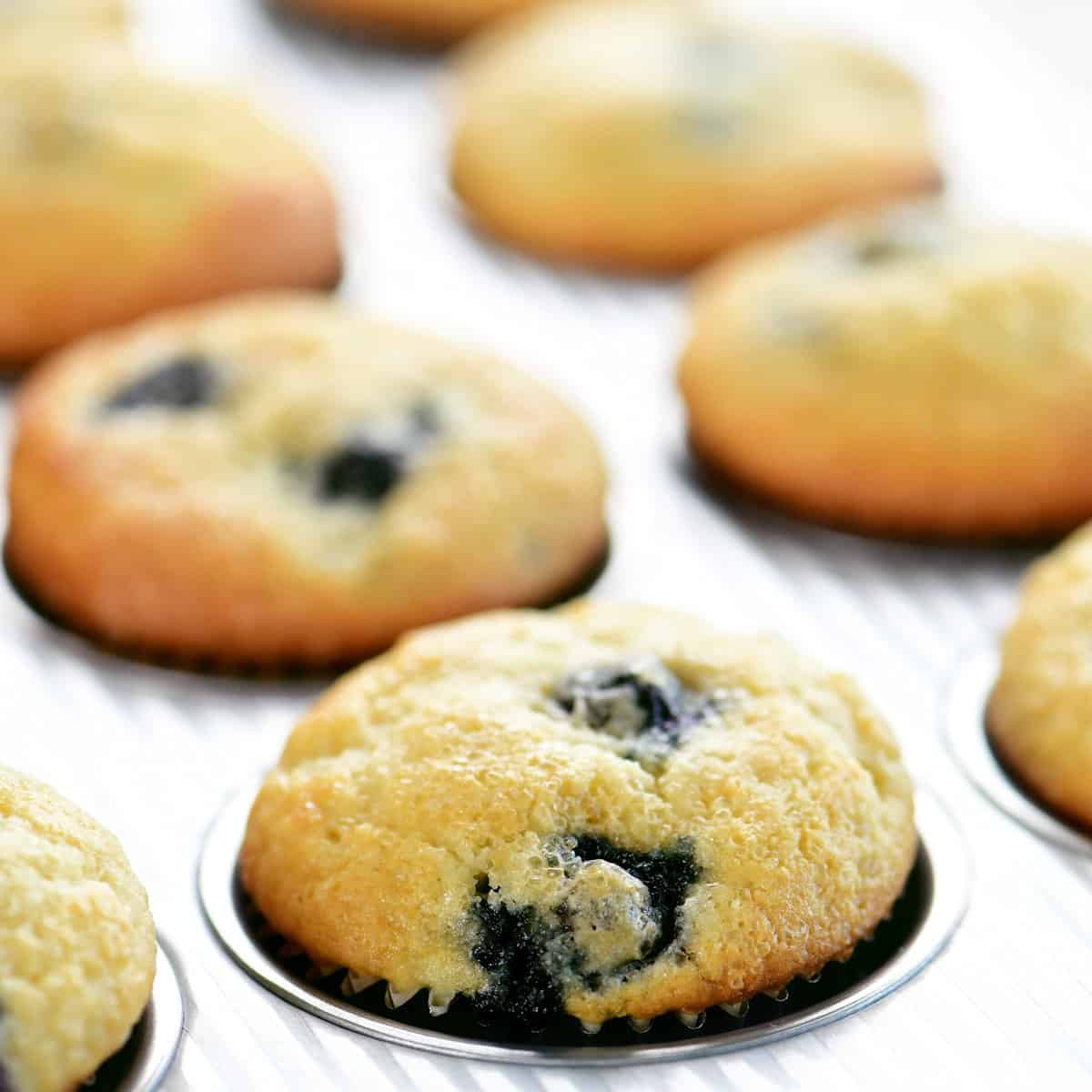 a blueberry muffin in a tin pan