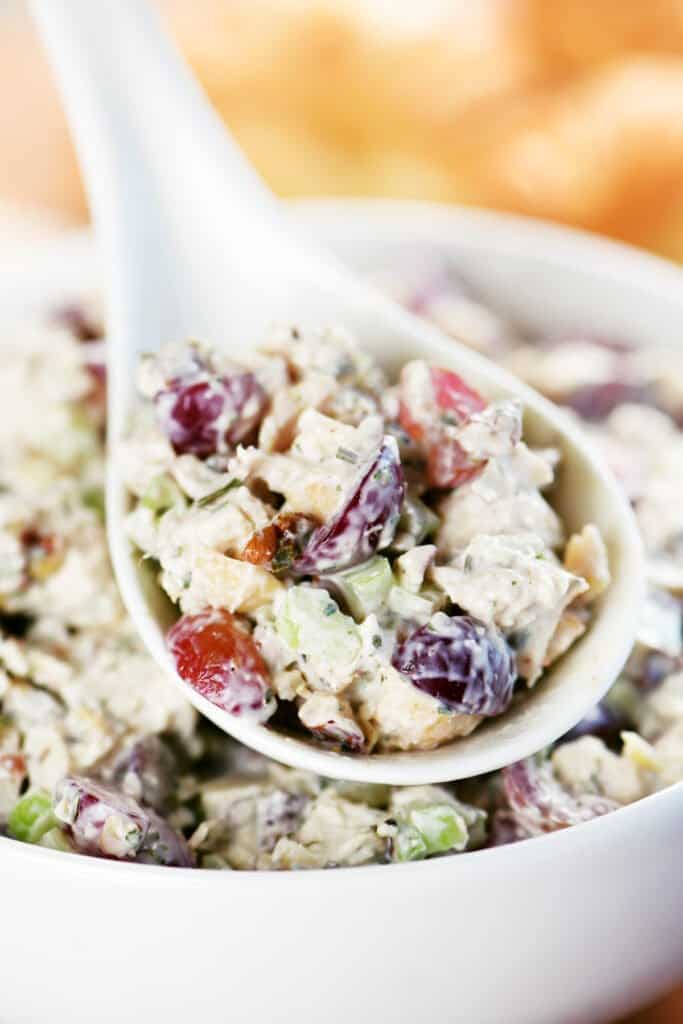 a spoon with chicken salad in it.