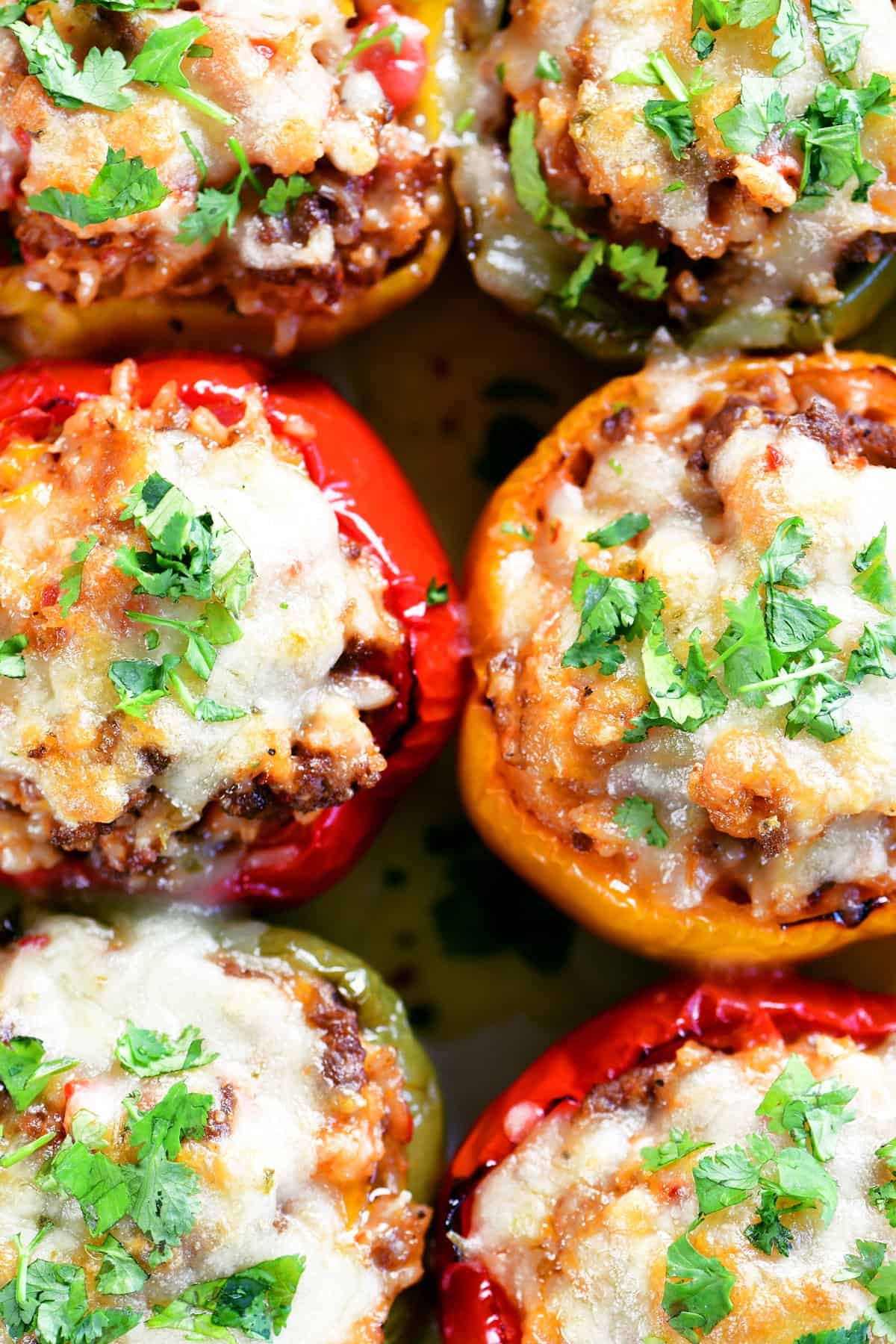 stuffed peppers topped with fresh cilantro.