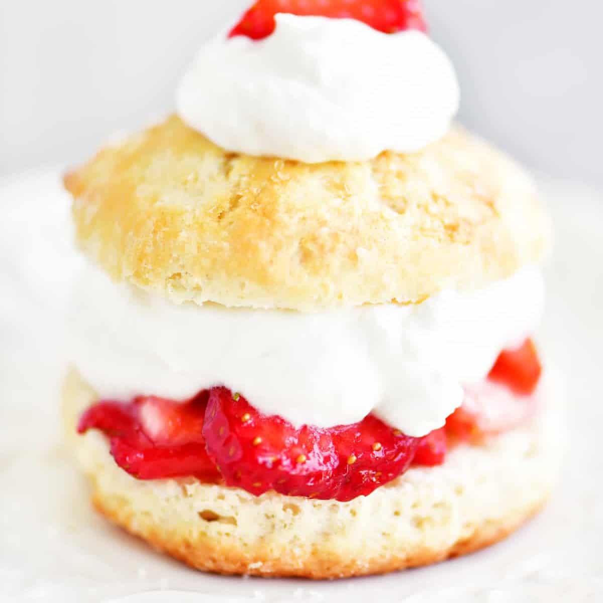 strawberry shortcake on a white plate with whipped cream