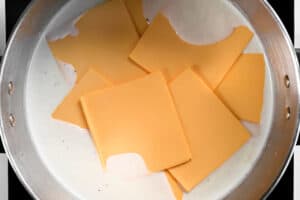 cheese slices, milk and spices in a pot