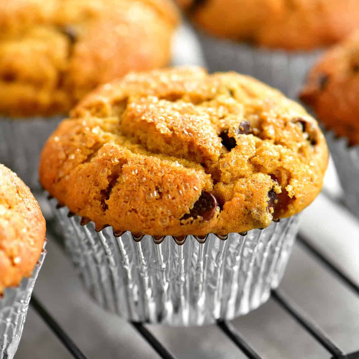 pumpkin muffin with chocolate chips.