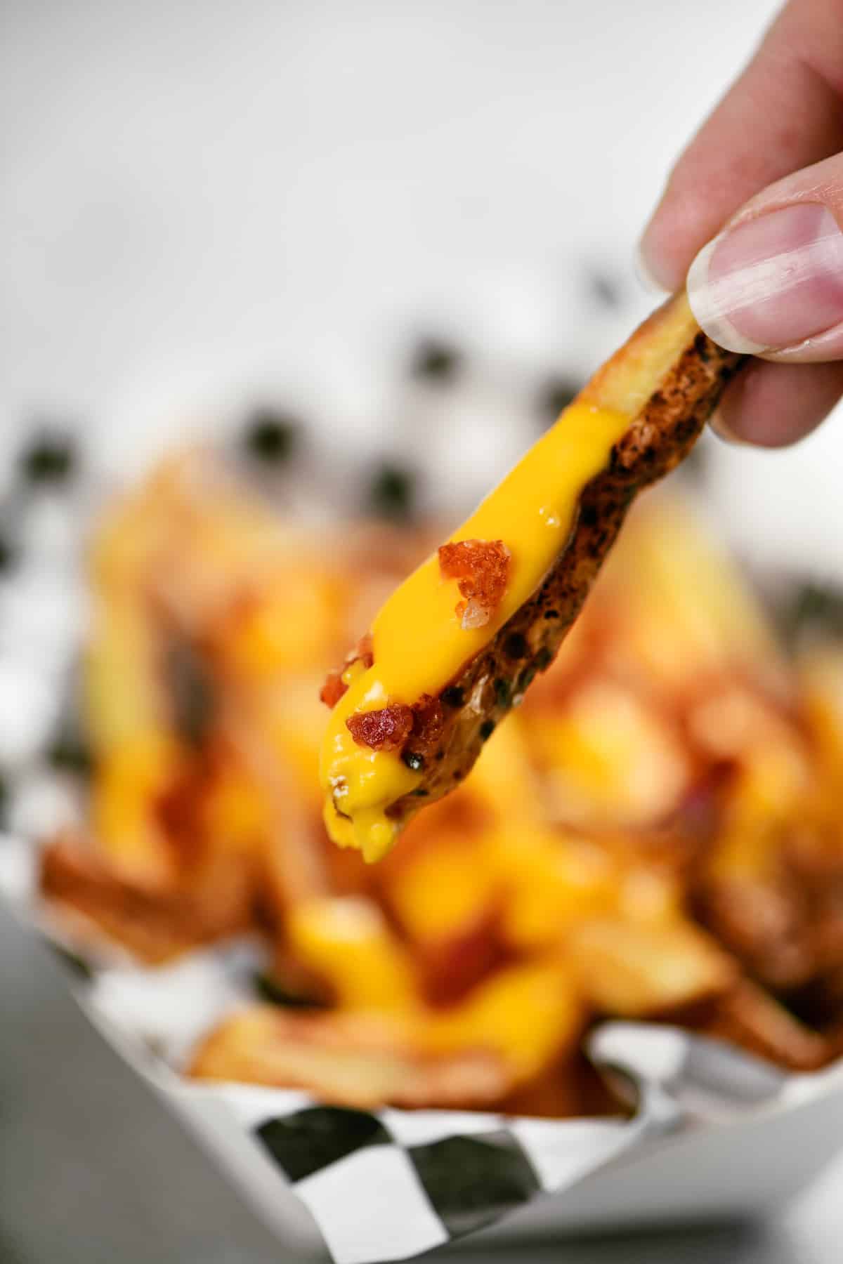 fingers holding a cheesy french fry.