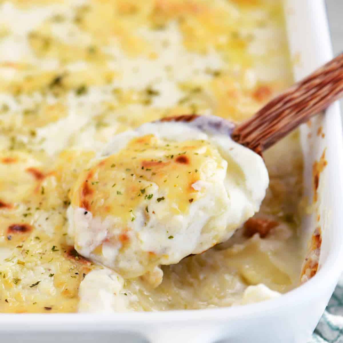a spoonful of scalloped potatoes.