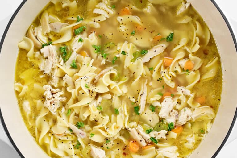 Chicken Noodle Soup Recipe - The Gunny Sack