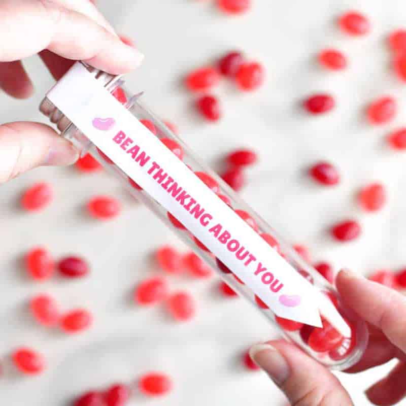 bean thinking about you valentine's day test tube.
