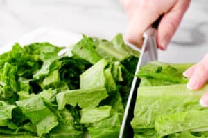 chopping romaine lettuce.