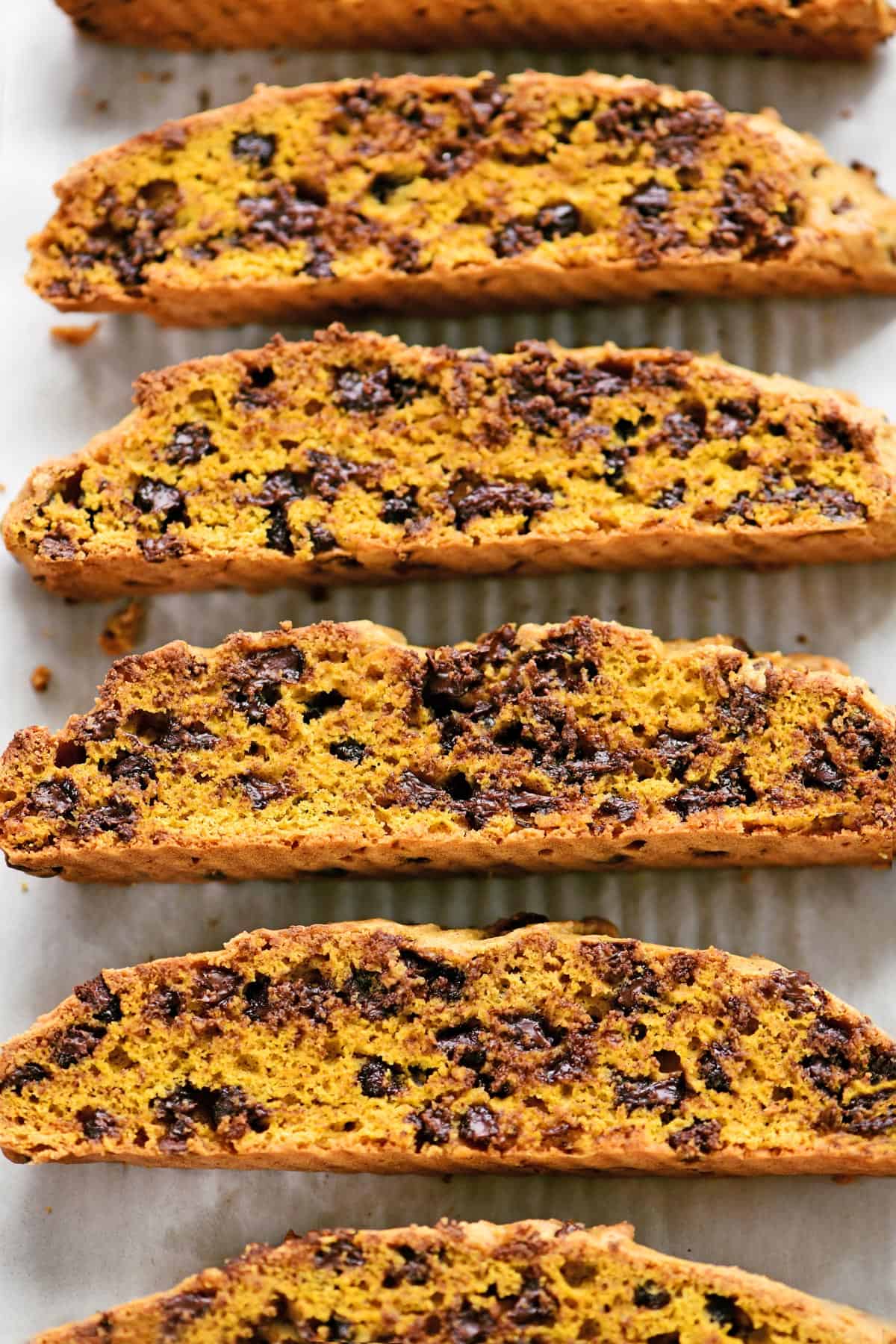 Chocolate chip biscotti on a baking sheet.