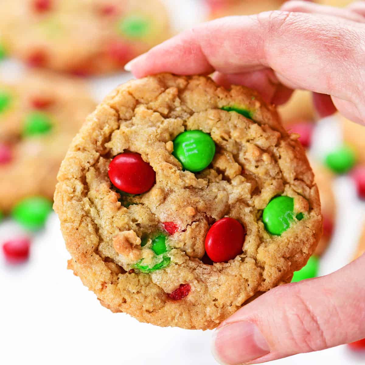 https://www.thegunnysack.com/wp-content/uploads/2023/11/Oatmeal-MM-Cookies-Close-SQ.jpg