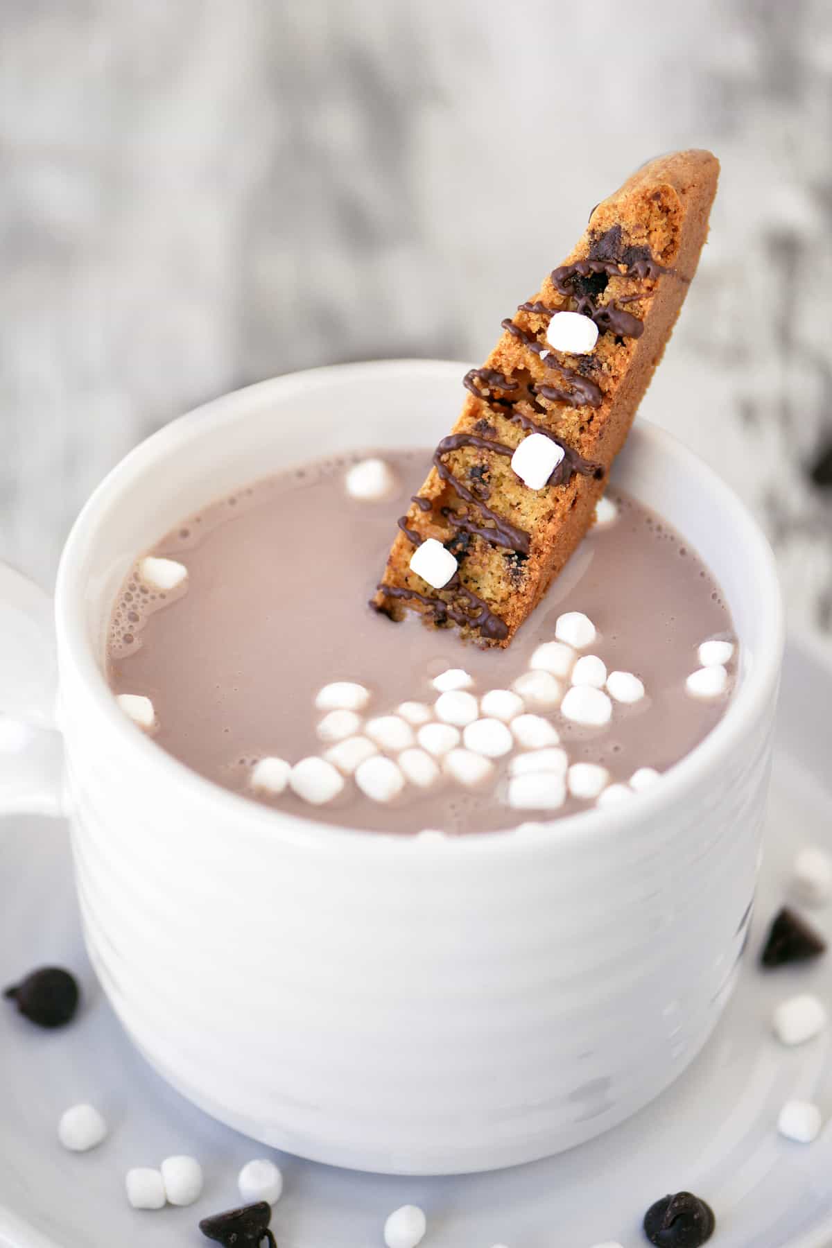 Hot chocolate biscotti.