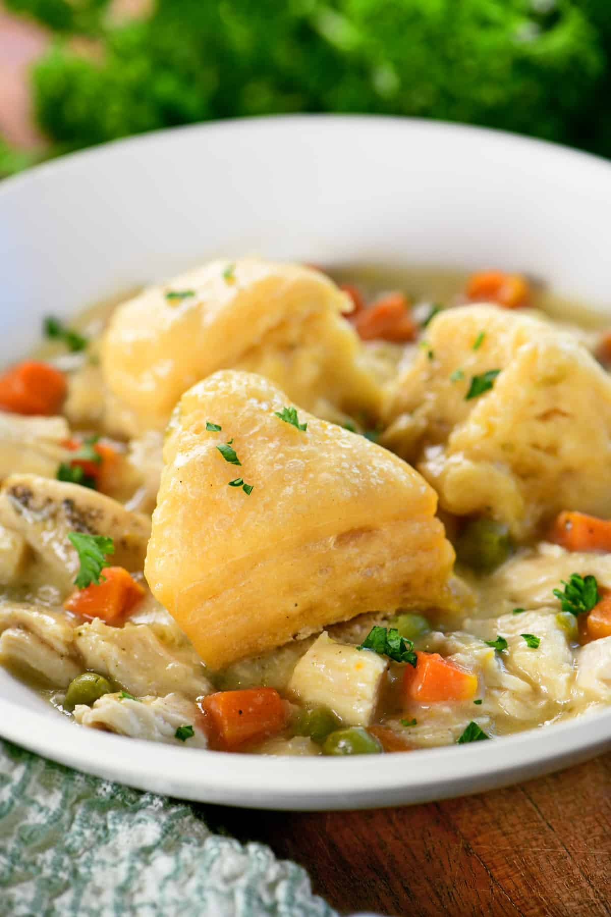 Crock pot chicken and dumplings in a white bowl.
