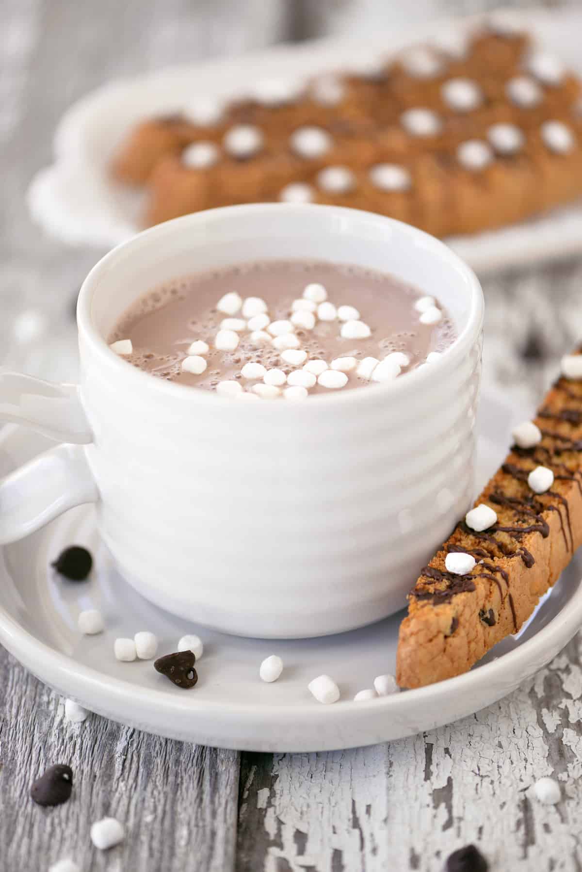 A mug of hot cocoa and a chocolate chip biscotti.