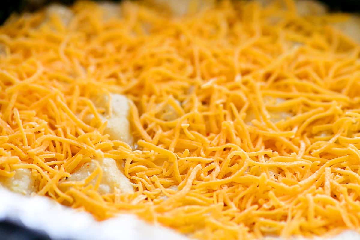 Shredded cheddar cheese on top.