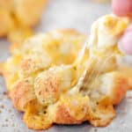 Bloomin' garlic cheese biscuits.