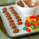 Chocolate covered gummy bears and plain gummy bears on a tray.