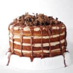 Chocolate Nutella torte layer cake.