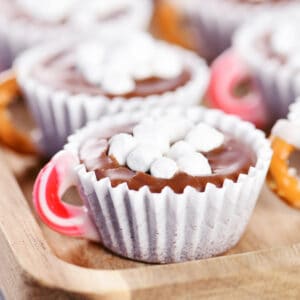 Hot chocolate fudge with mini marshmallows and a candy cane handle.