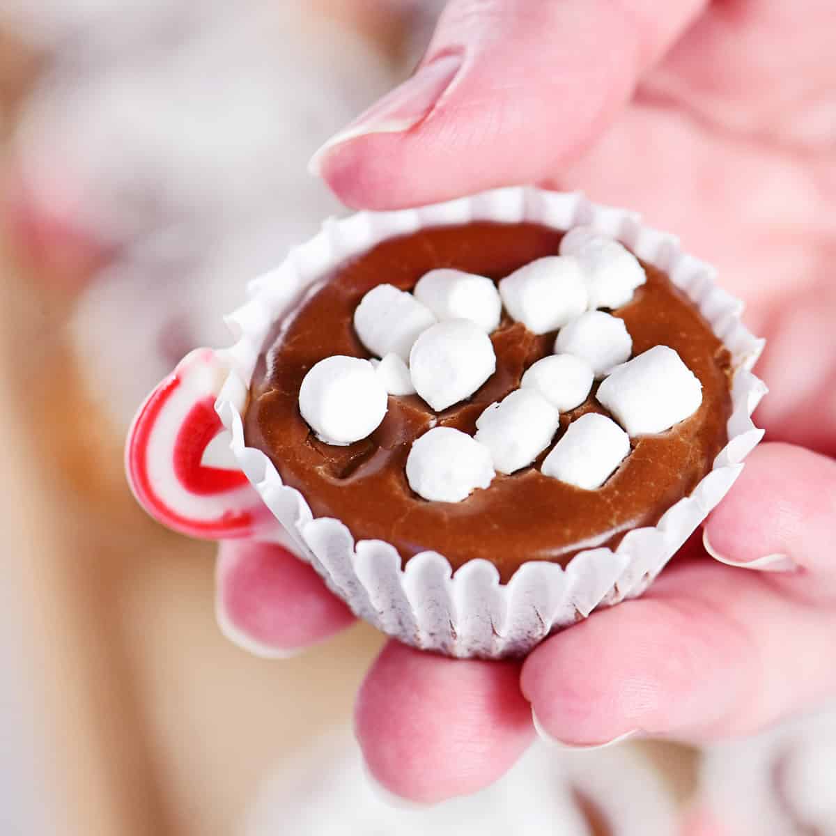 A hand holding hot cocoa fudge with mini marshmallow and a candy cane handle.
