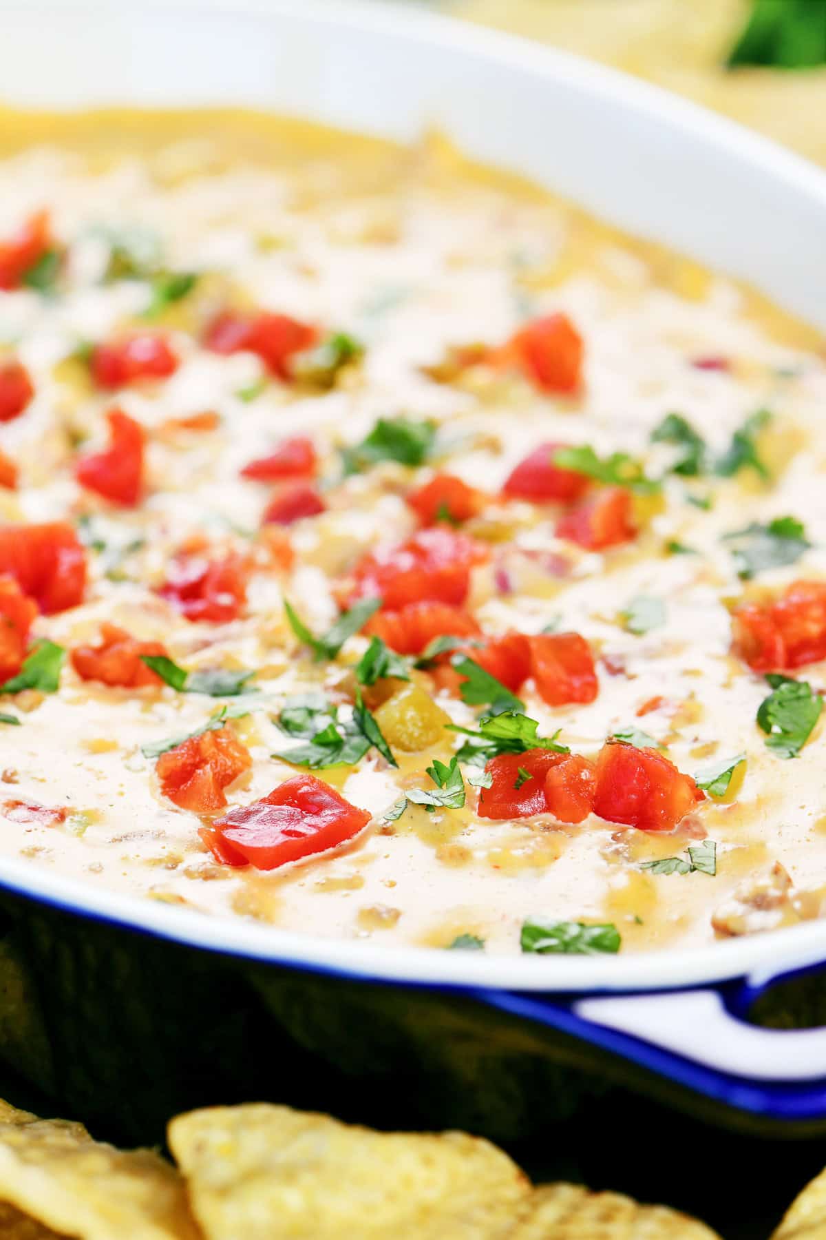 Sausage queso dip with tomatoes and cilantro on top.
