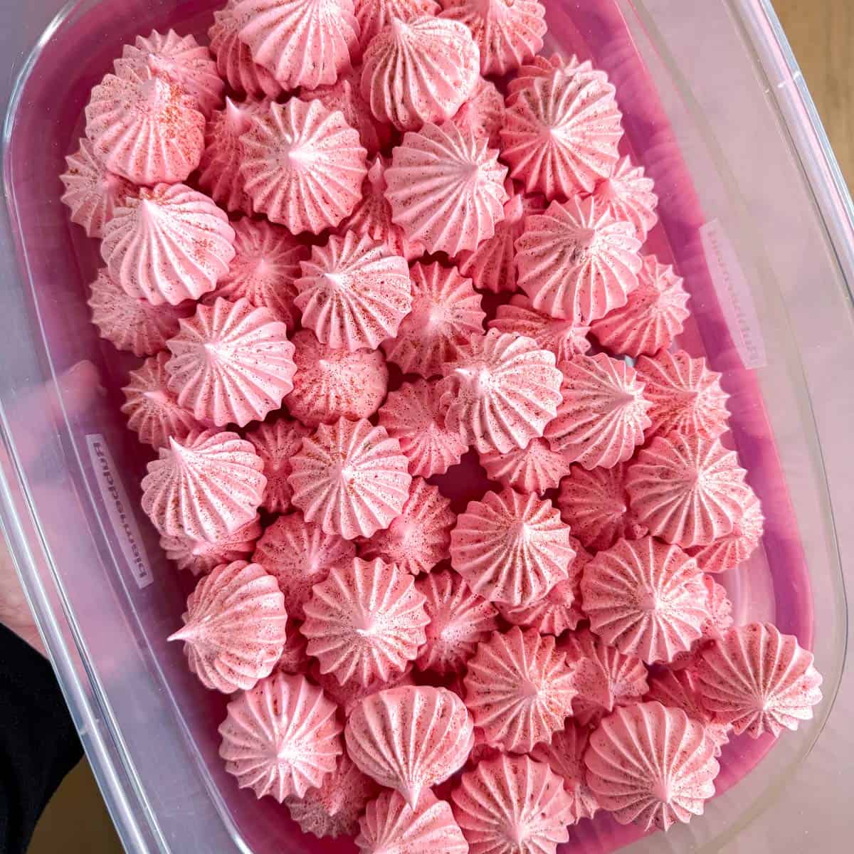 Strawberry meringue cookies in a container.